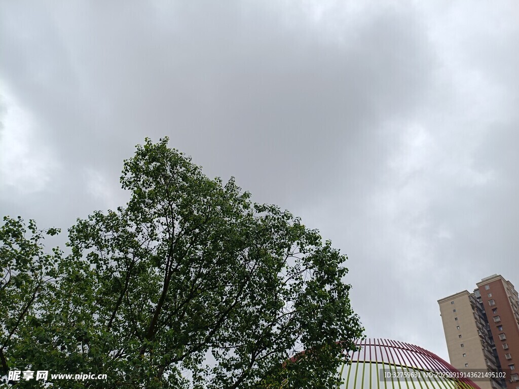 阴天中的绿树与建筑