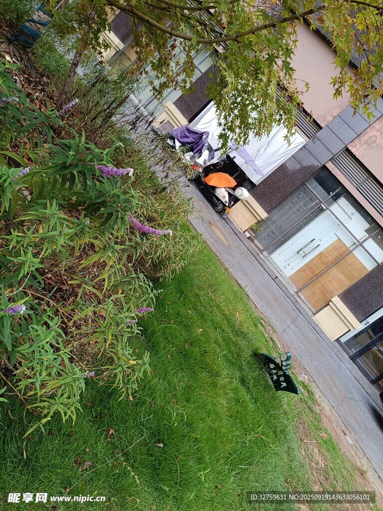 户外庭院休闲场景