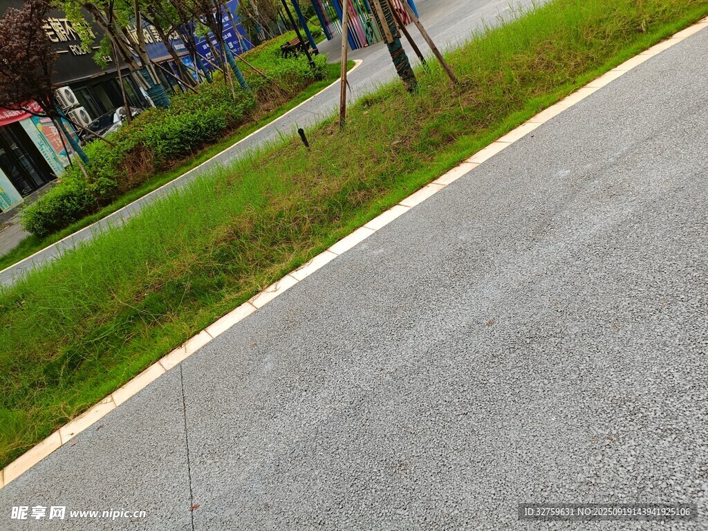 路边绿意盎然的景象