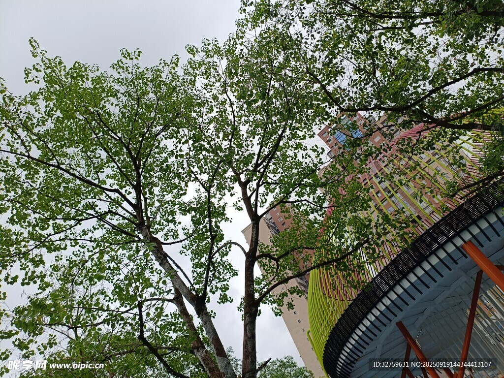 绿树掩映下的建筑一角