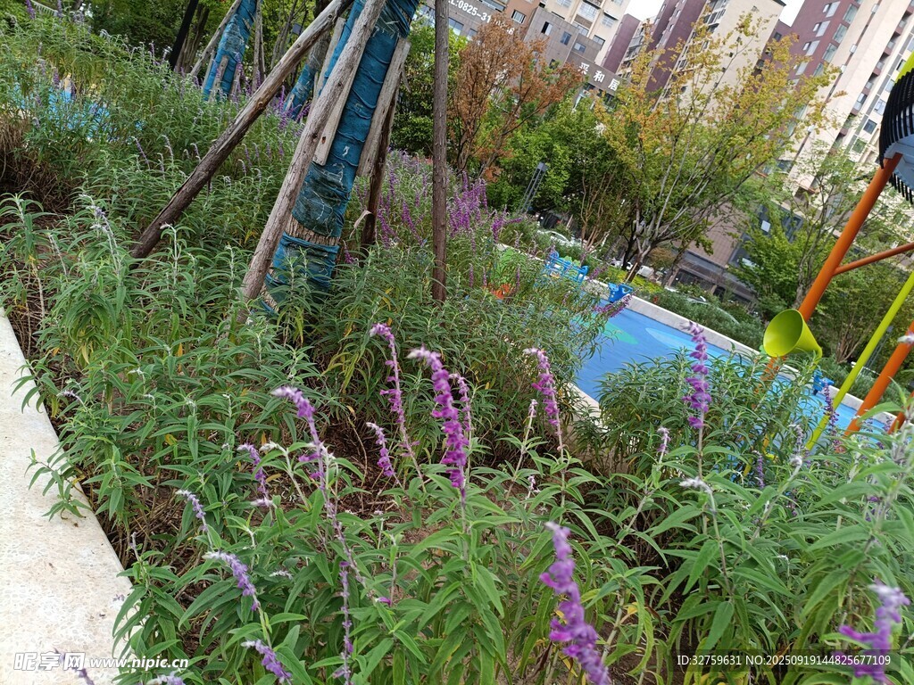 城市中的多彩花草景观