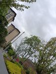 城市中绿树环绕的建筑景观