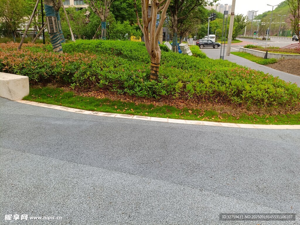 城市道路旁的绿植景观