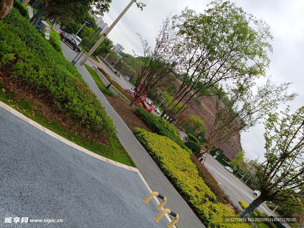城市道路旁的绿植景观