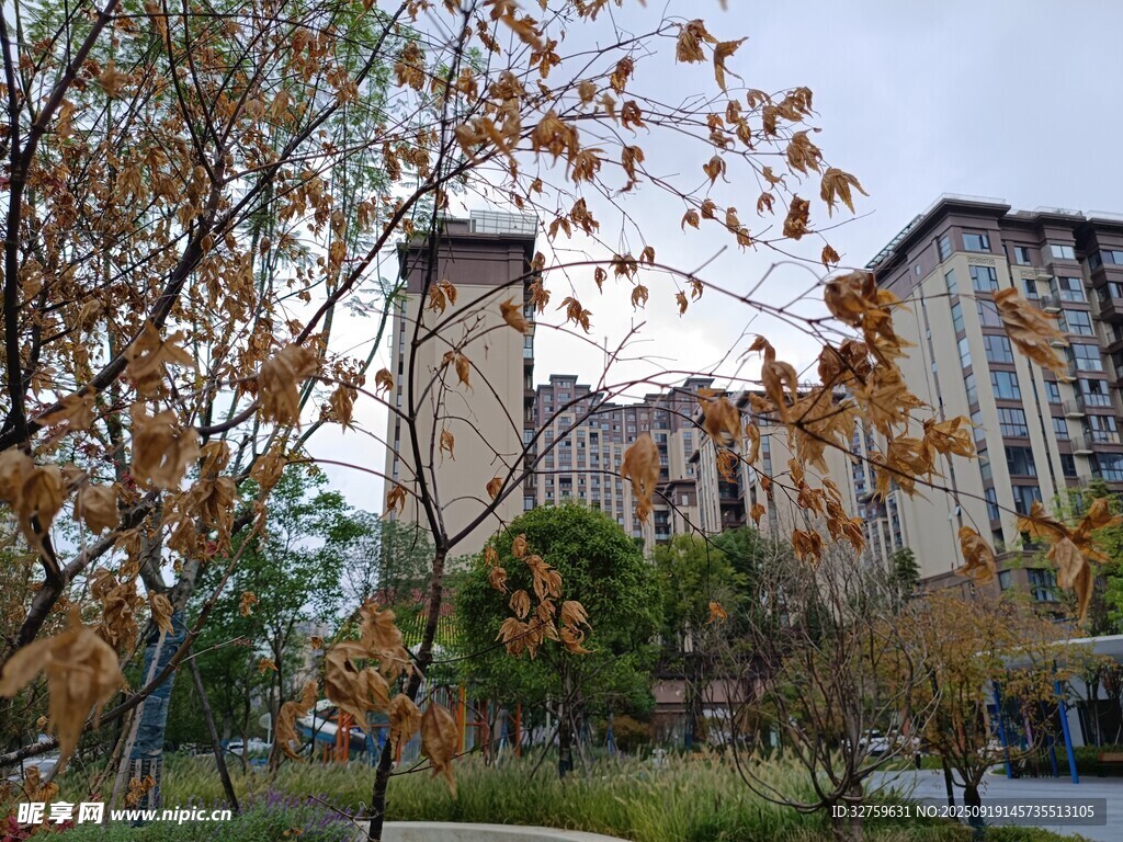 秋日校园建筑景色