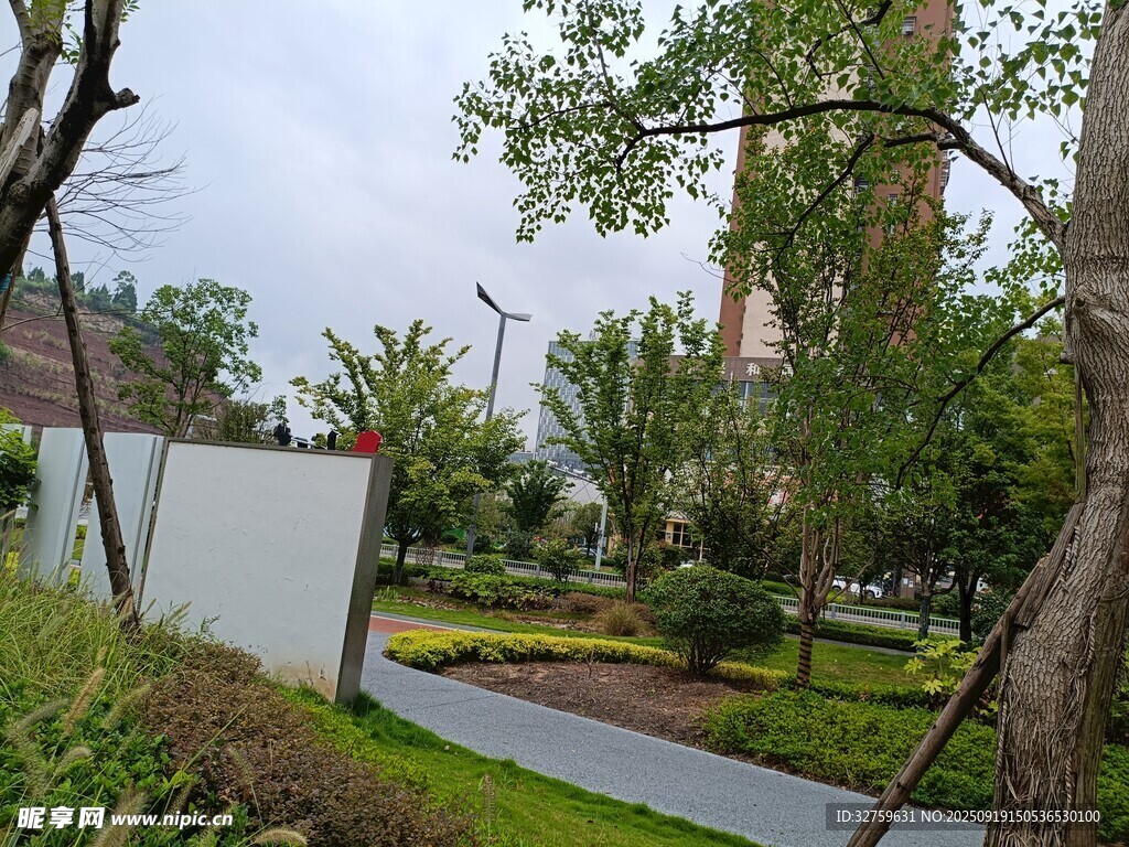小区内的优美绿化景观