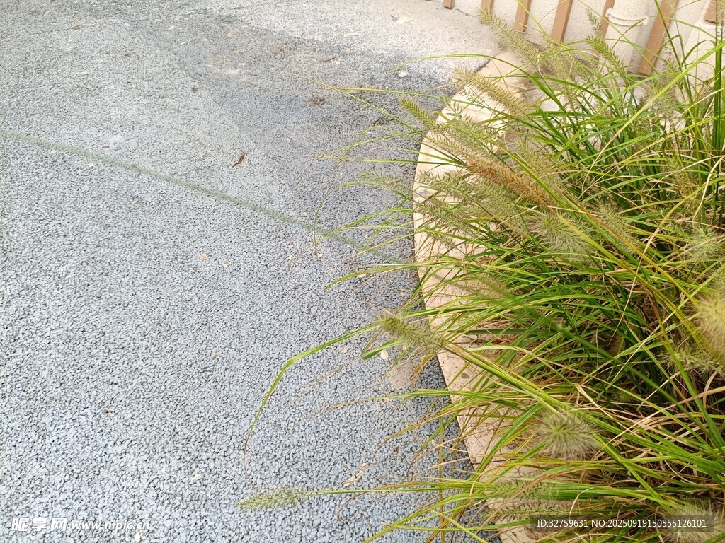 路边草地与灰色路面
