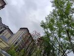 城市中绿树旁的建筑景观