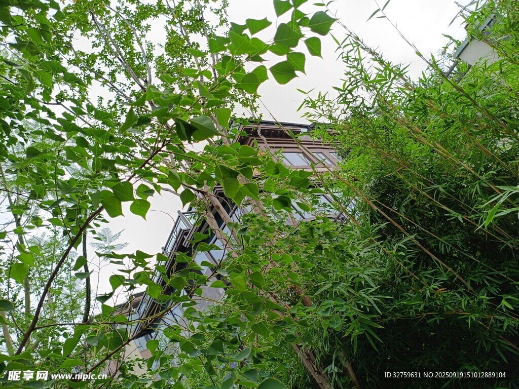 被绿植环绕的隐秘小屋