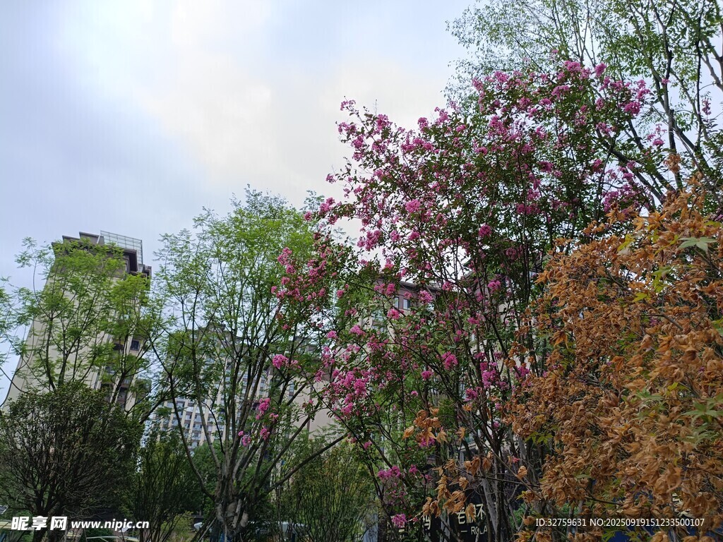 春日繁花绿树景致
