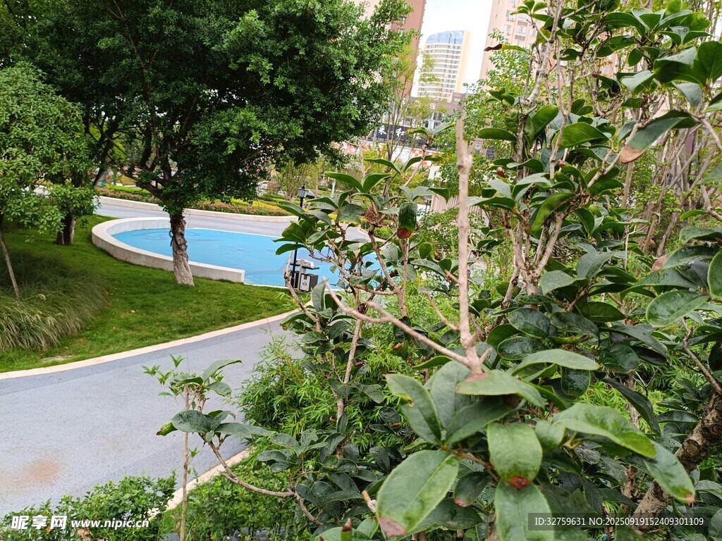 小区内的绿植与休闲泳池