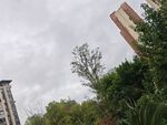 城市中绿植环绕的高楼