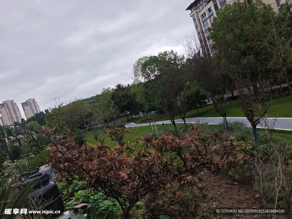 小区内的绿植景观