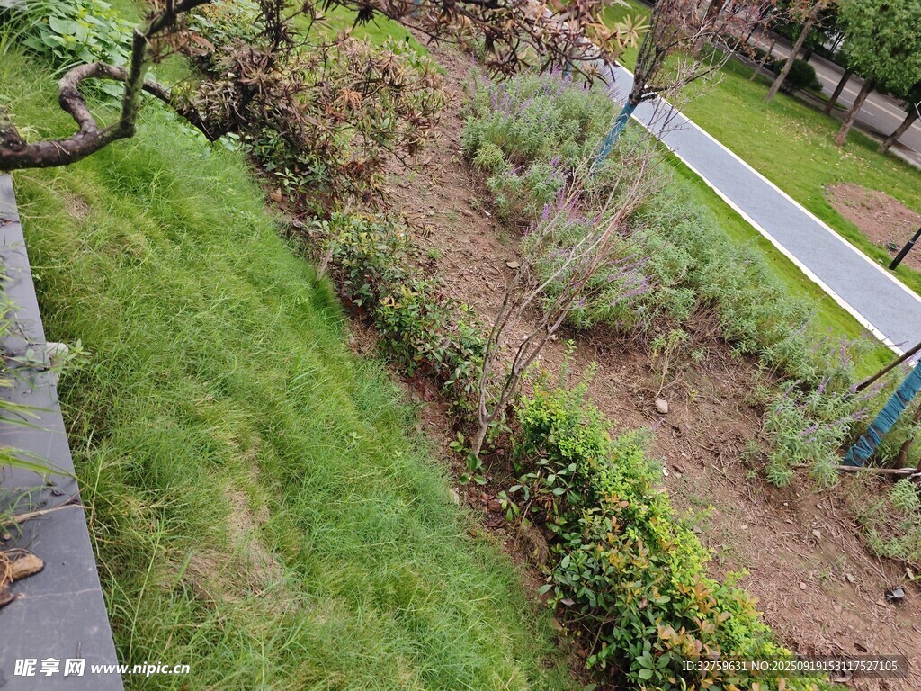 庭院绿植景观