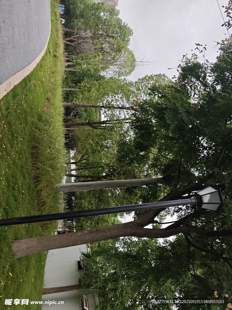 公园中的雕塑与绿植景观
