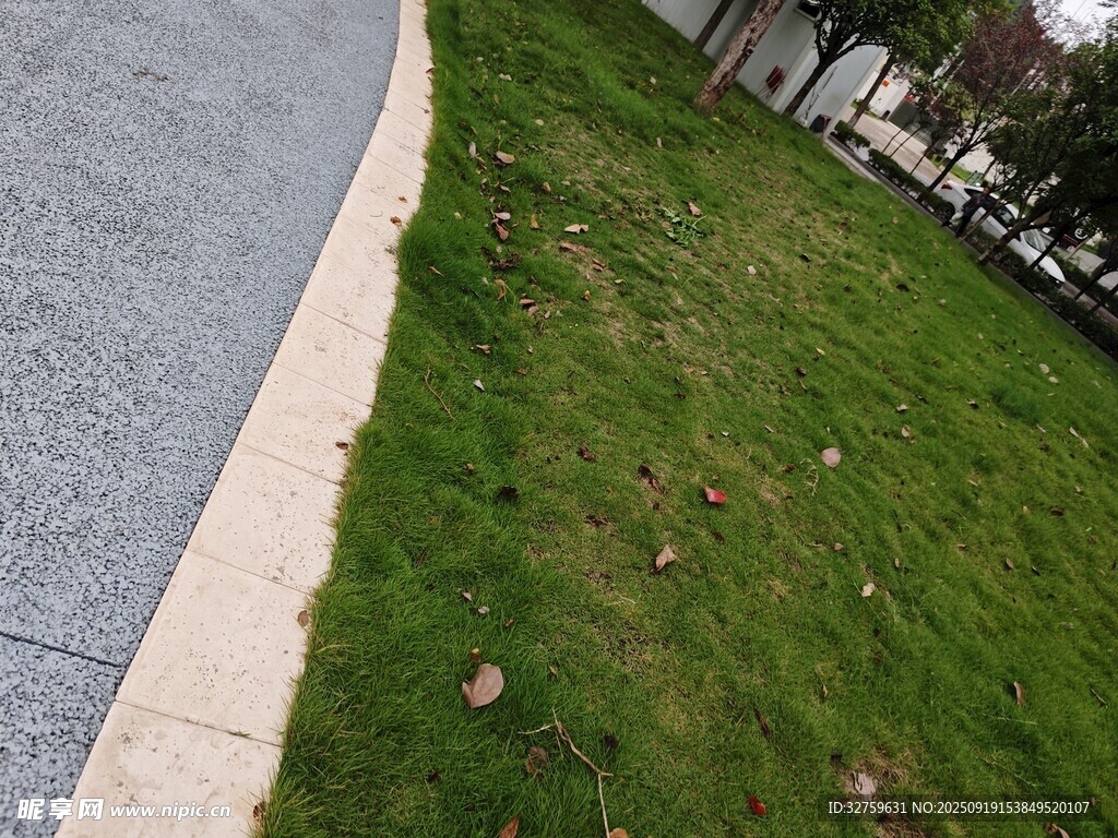 路边草坪景观