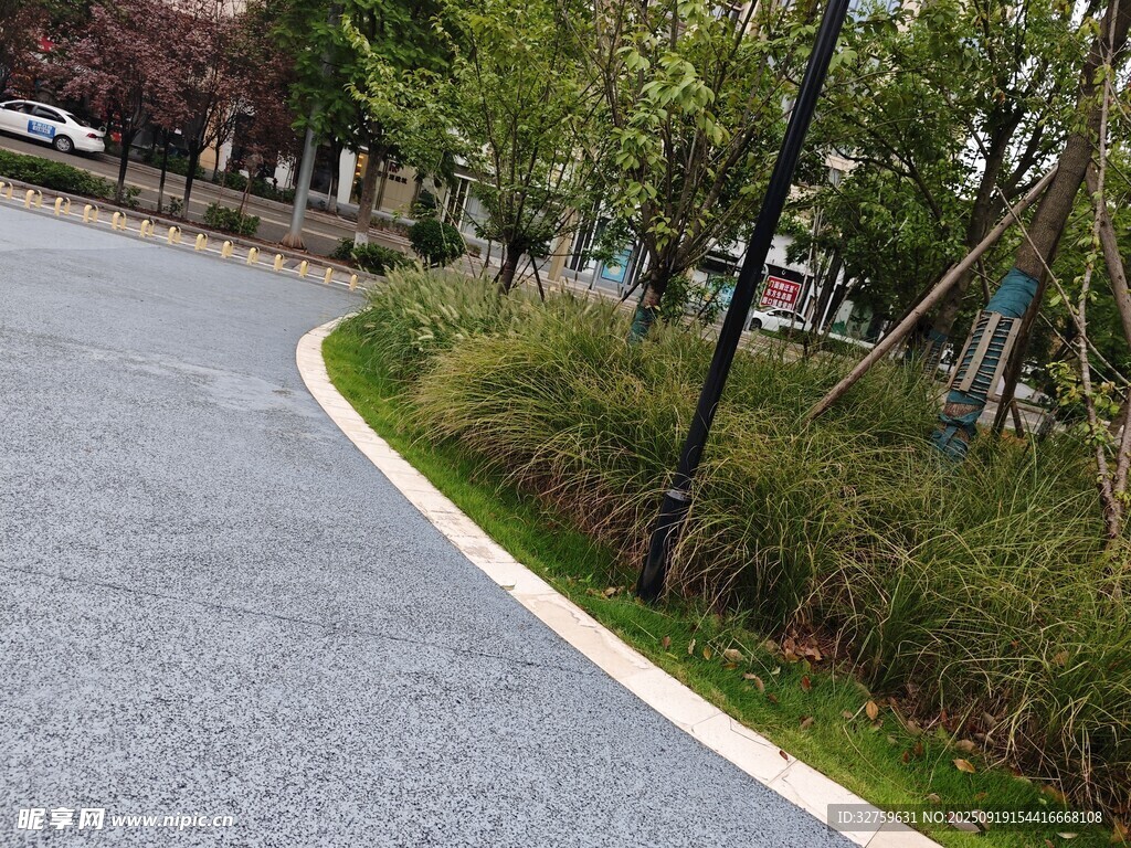 弯曲小路旁的绿植景观