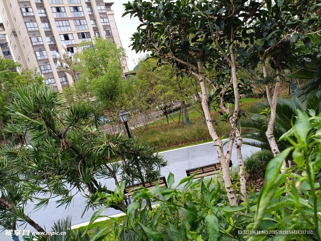 小区内的绿植与水景