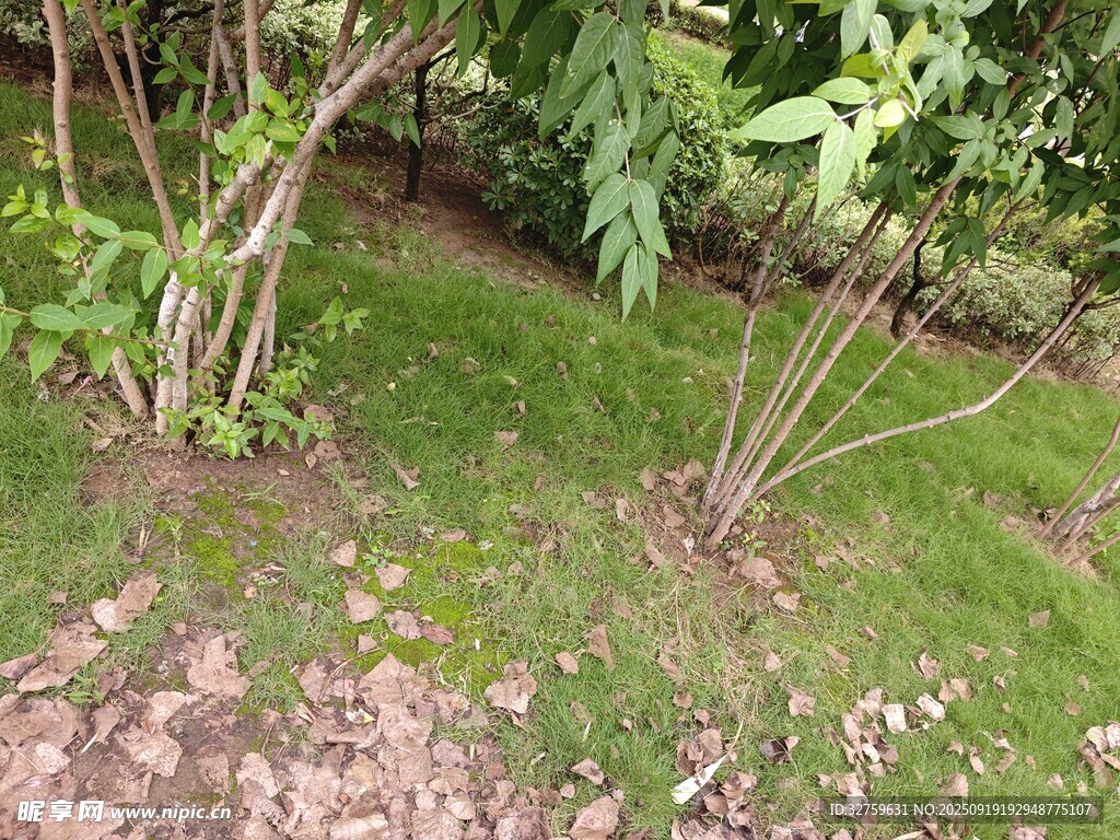 户外绿植景观