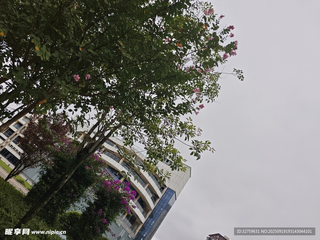 绿树掩映下的城市建筑