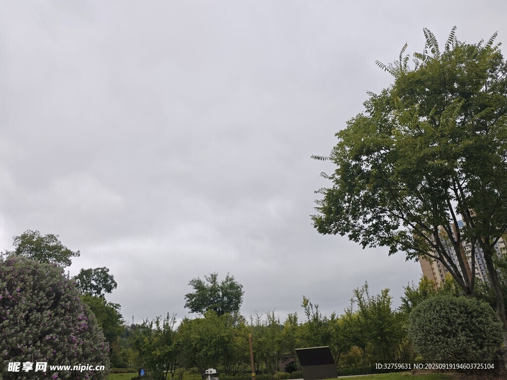 阴天中的绿植景观