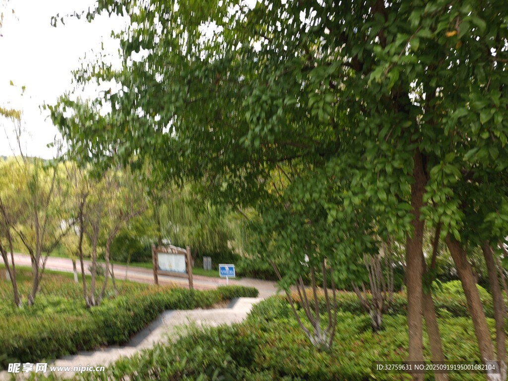 林间蜿蜒小径