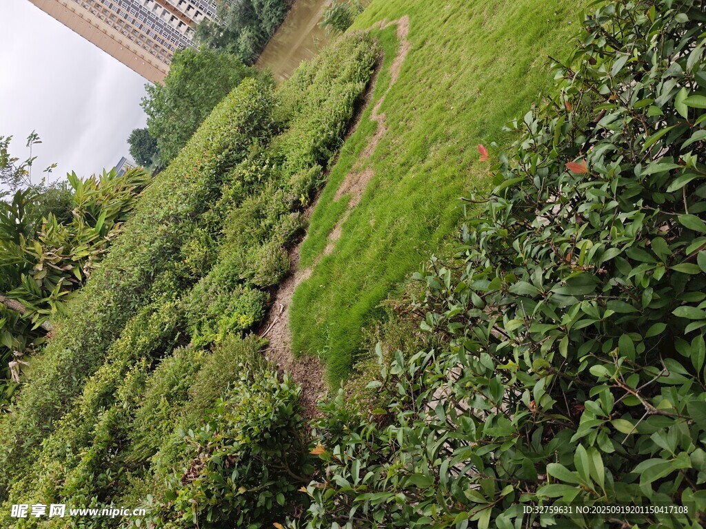 绿意盎然的园林景观