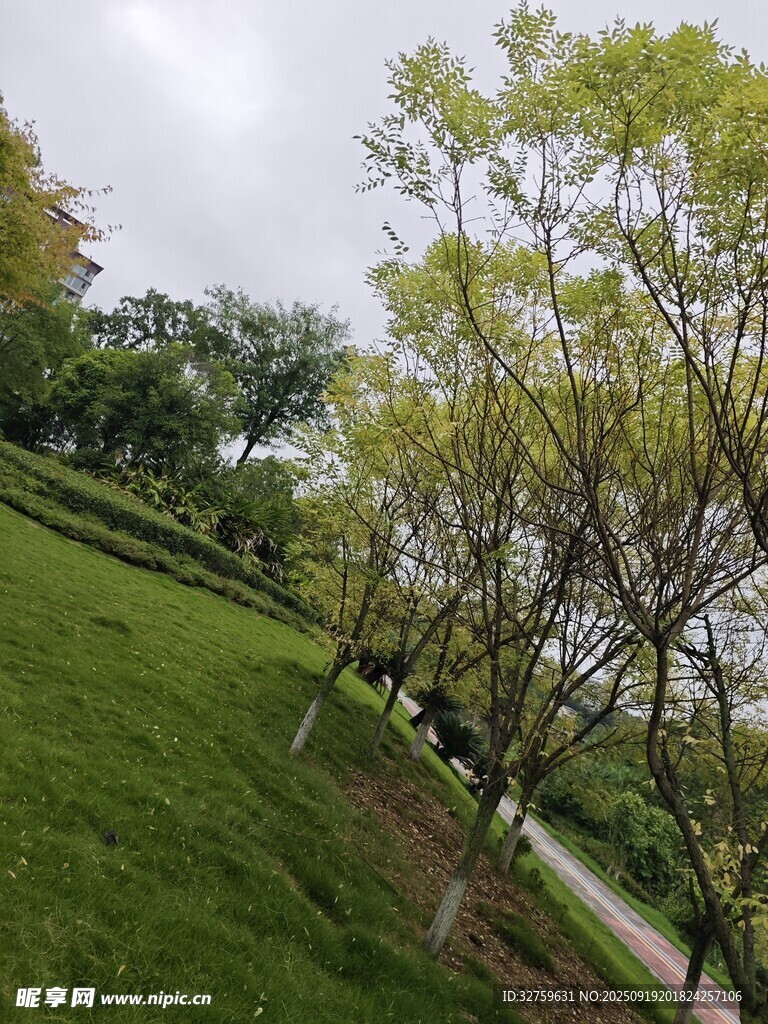 绿意盎然的户外园林景致