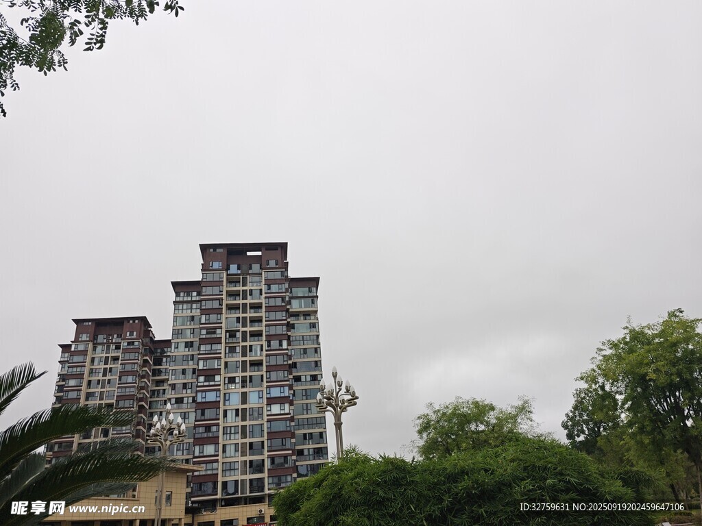 高楼矗立在绿树环绕间