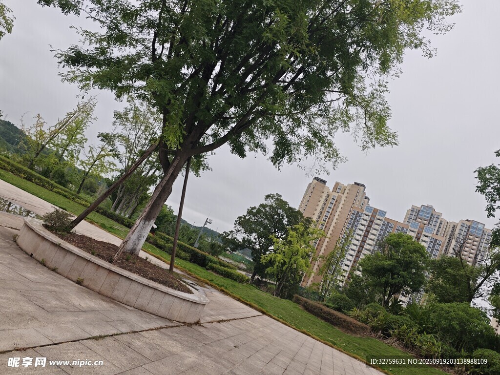 城市公园中的绿树与建筑