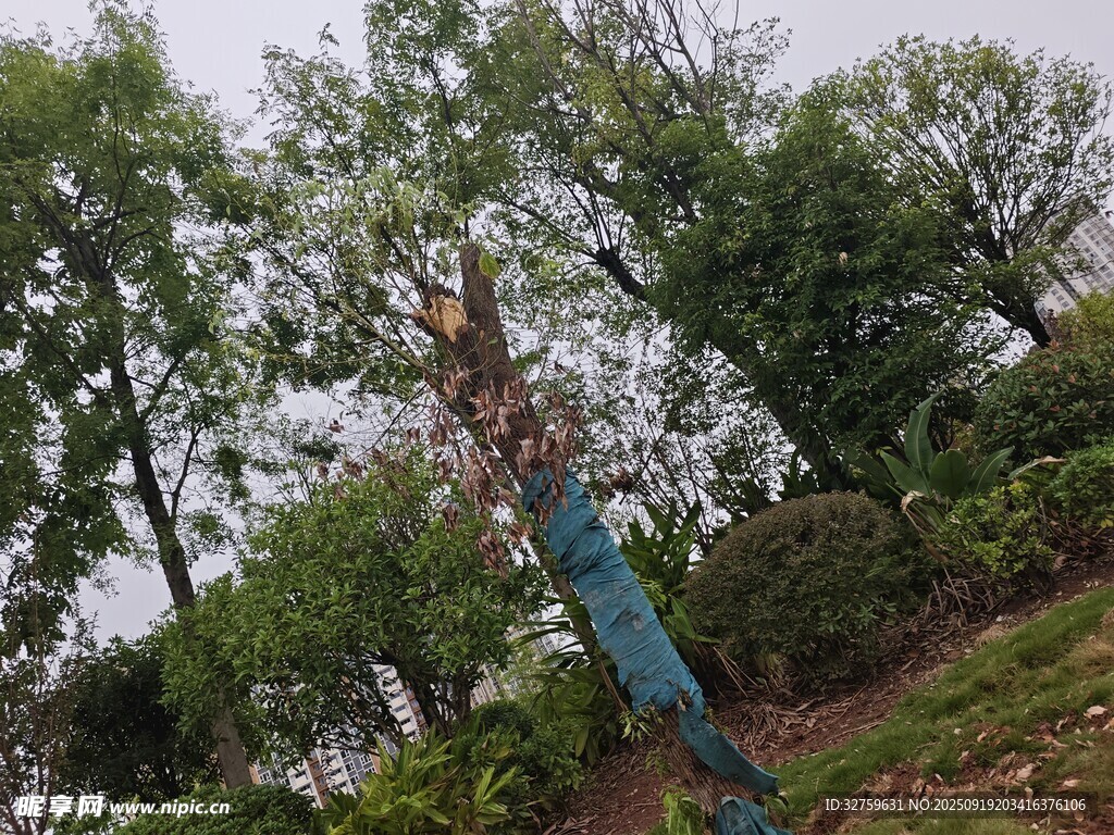 公园中的蓝色雕塑与绿树