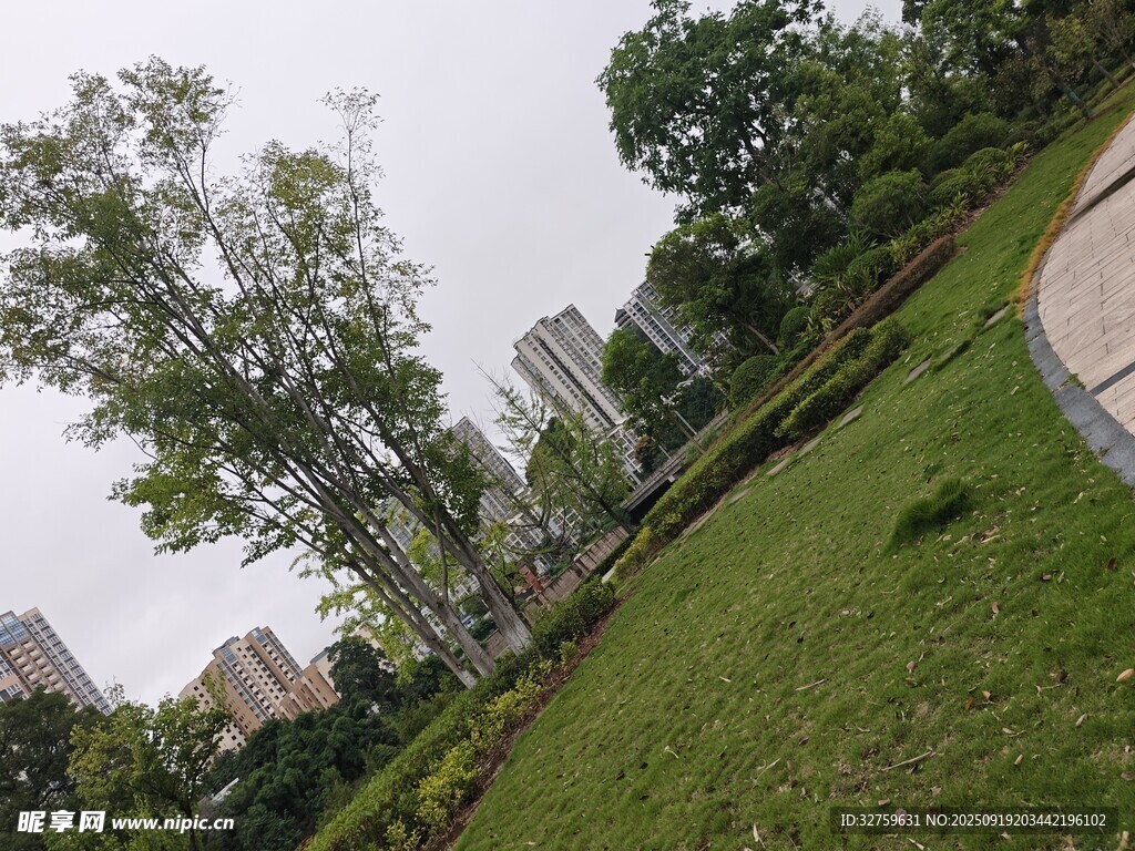城市中的绿意草坪景观