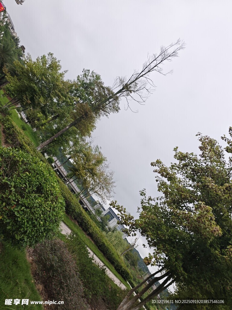 户外绿意盎然的自然景致