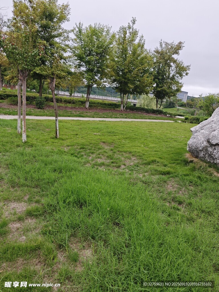 户外草地树木风景图