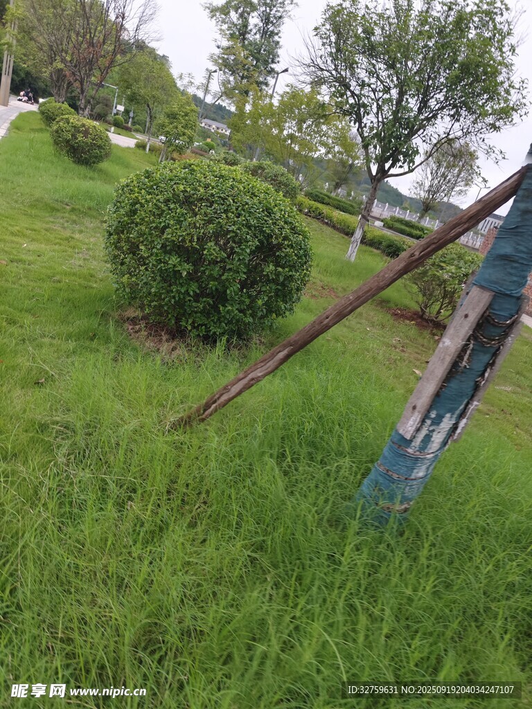 草地上倾斜的蓝色物件