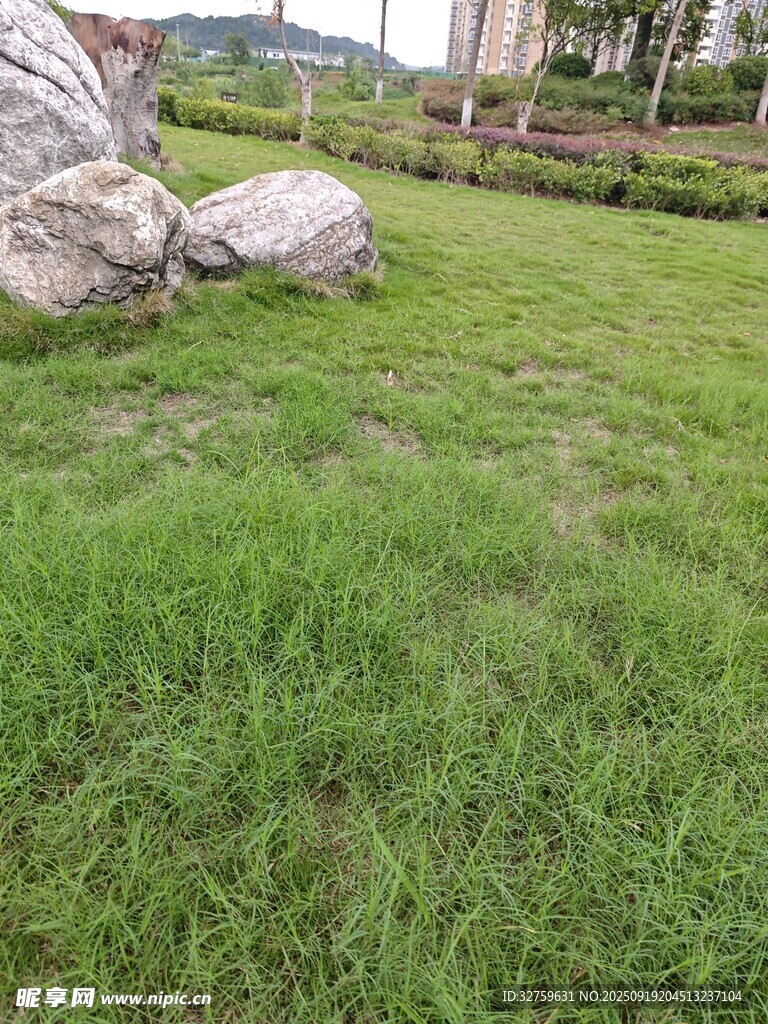 翠绿草坪与大石景观