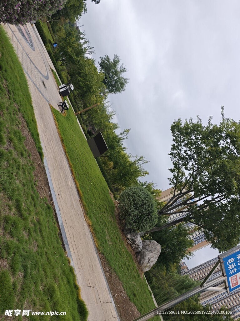 户外街道旁的绿植景观