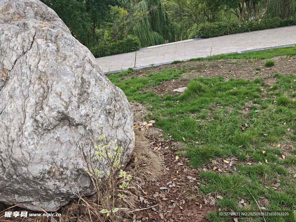 户外巨石旁的草地景观