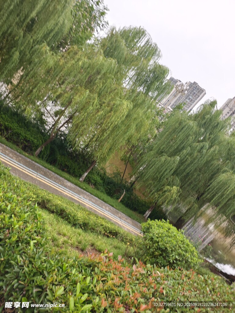 公园绿意盎然的景观