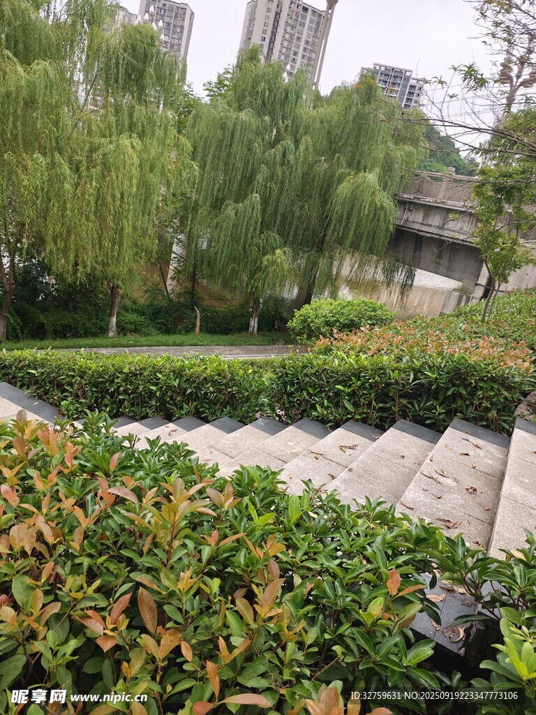 城市中的静谧绿植景观