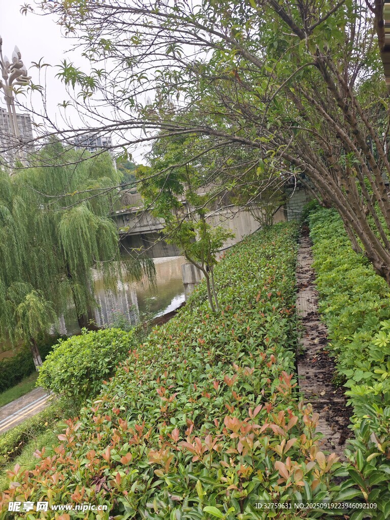 园林绿植景观