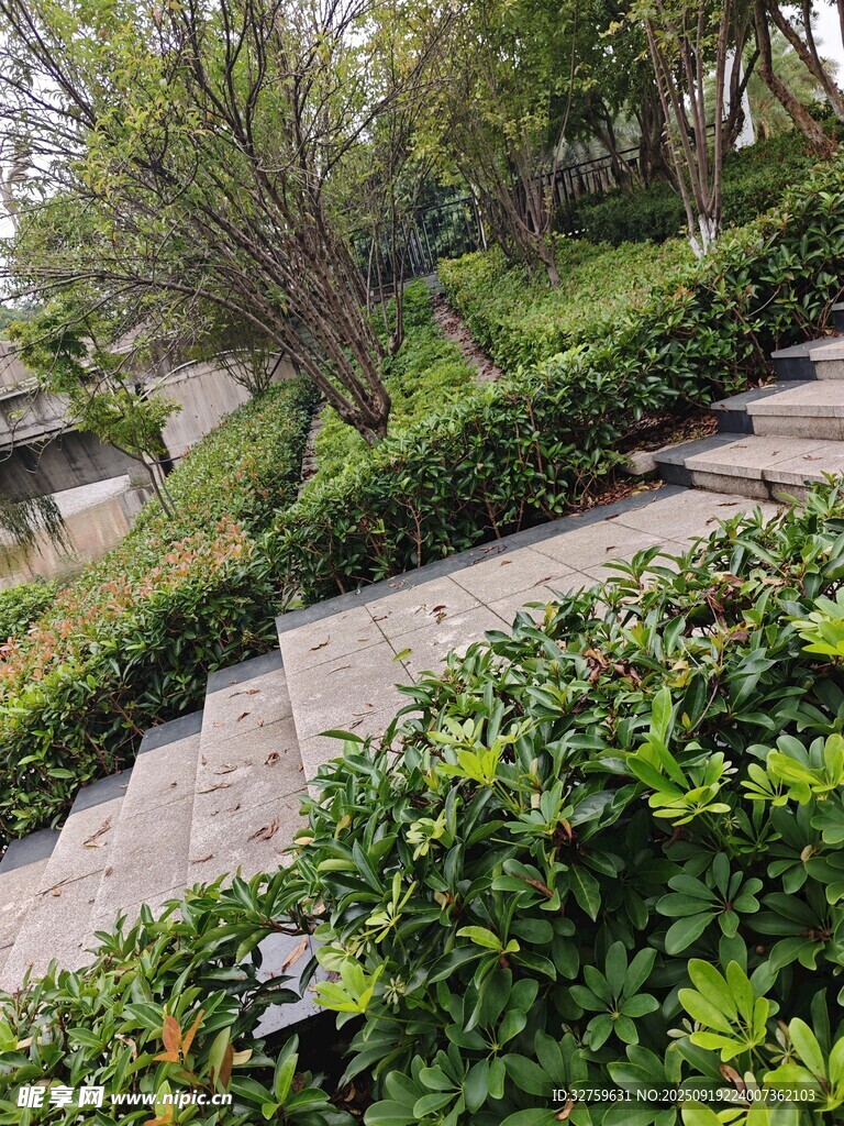 绿意盎然的户外石阶景观