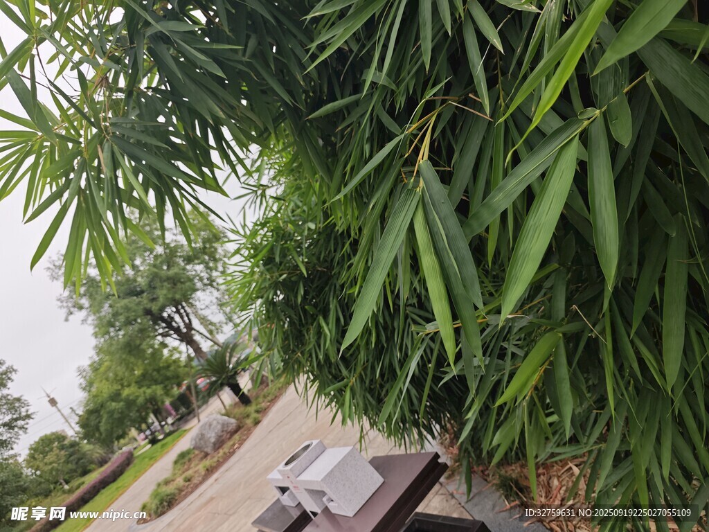 竹林旁的户外休闲场景