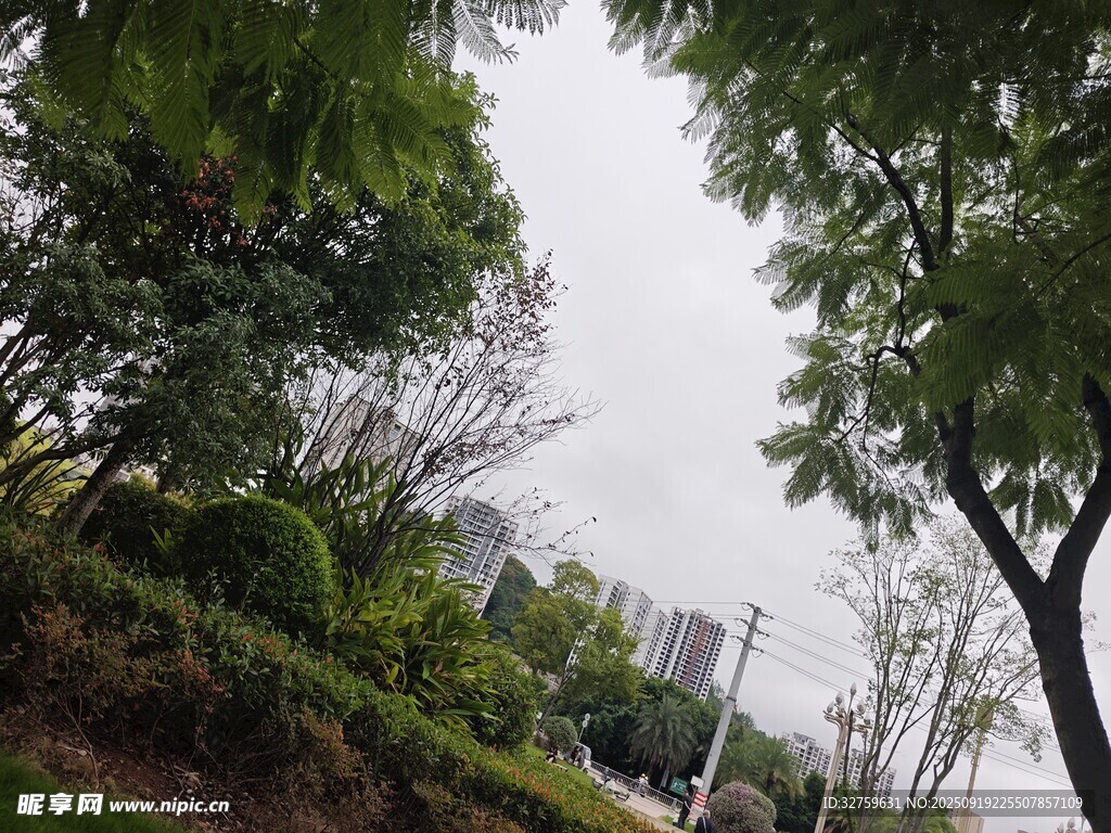 城市中的绿意景观