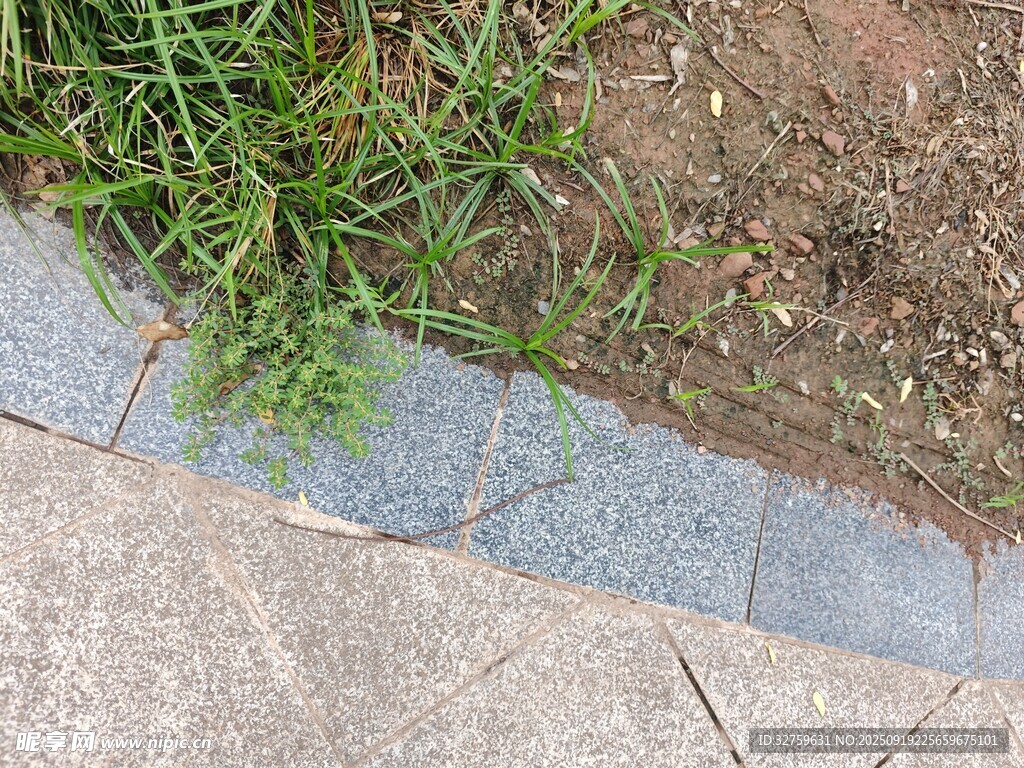 路边草地与石板路