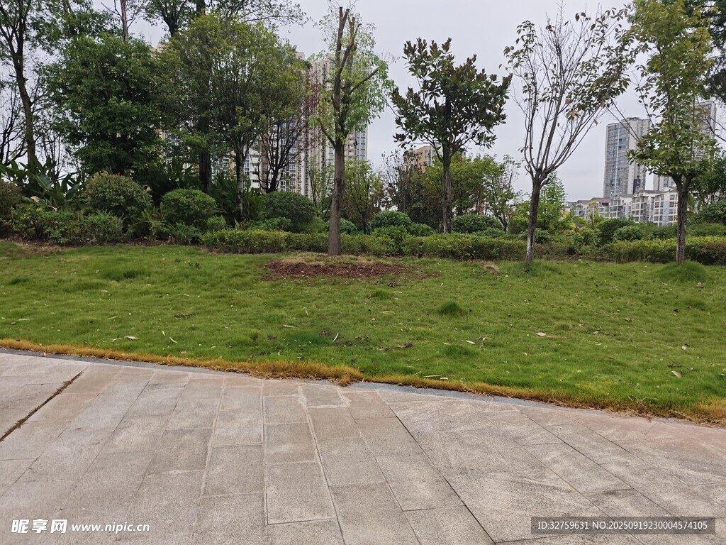 城市公园中的绿地与步道
