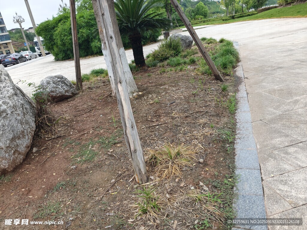 路边绿植与石块景观
