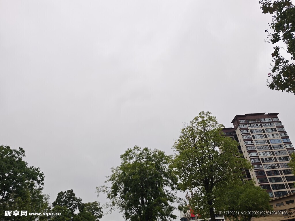 高楼旁绿树映衬的天空