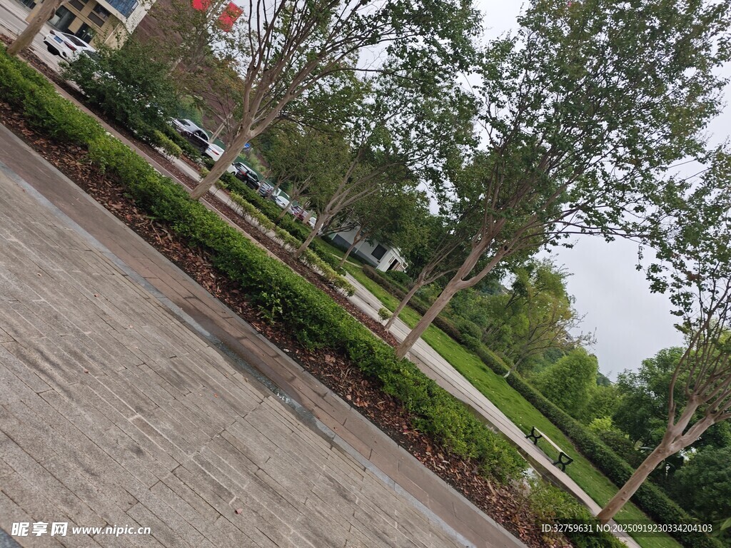户外林荫道路景观