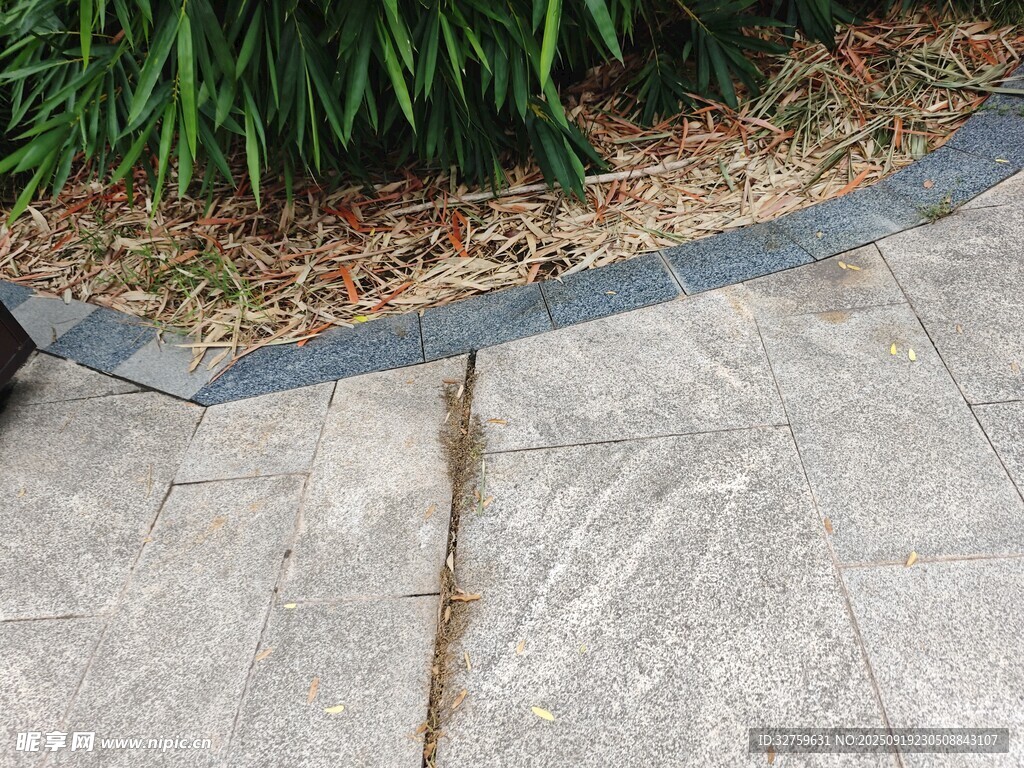 庭院石板路与绿植景观